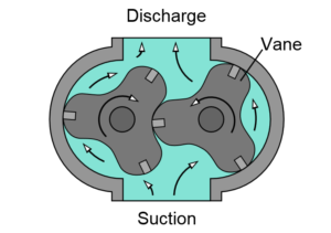 Rotary lobe pump internals